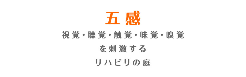 �܊����h�����郊�n�r���̒�